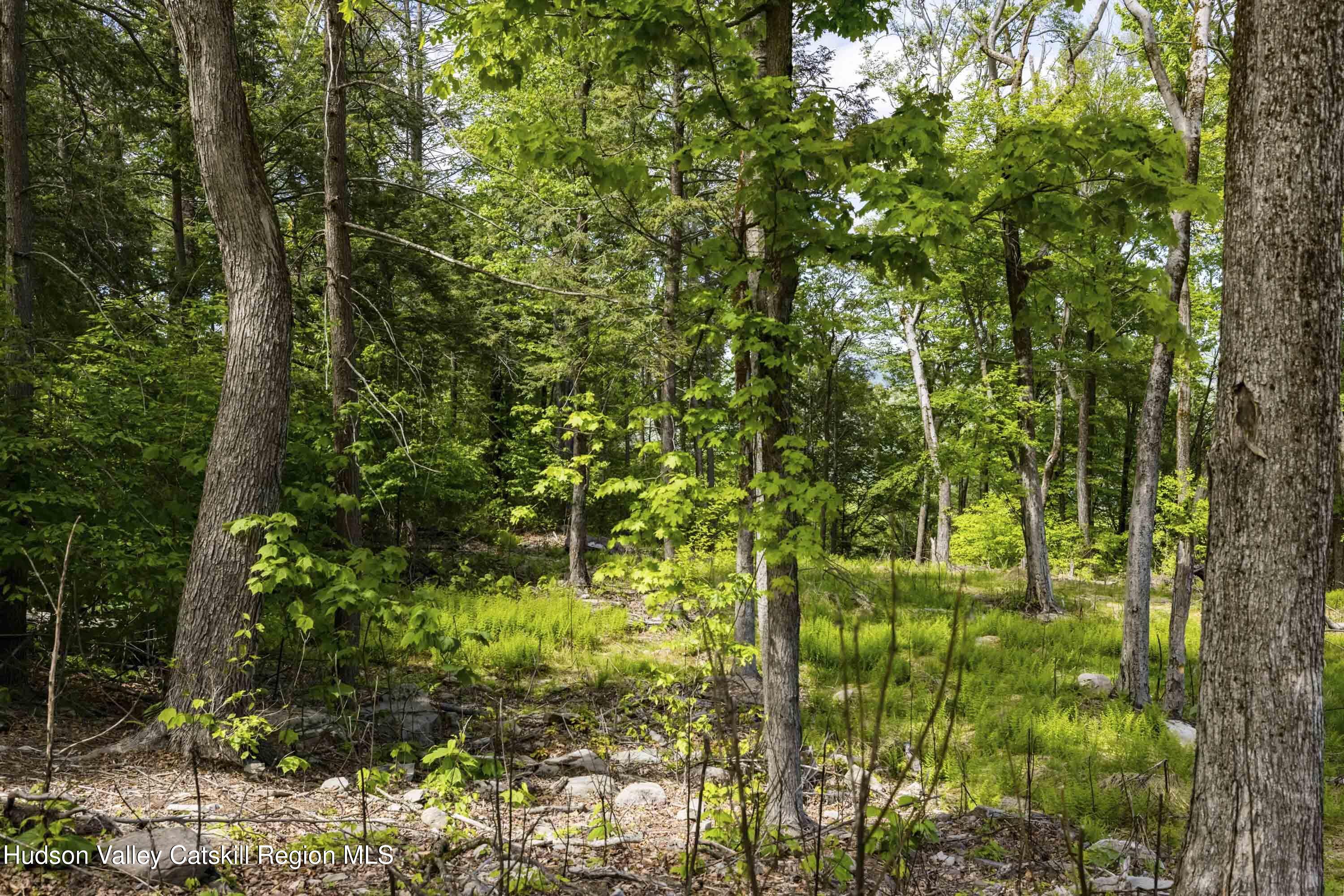 2 Red Rock Road, Wawarsing, New Mexico image 8
