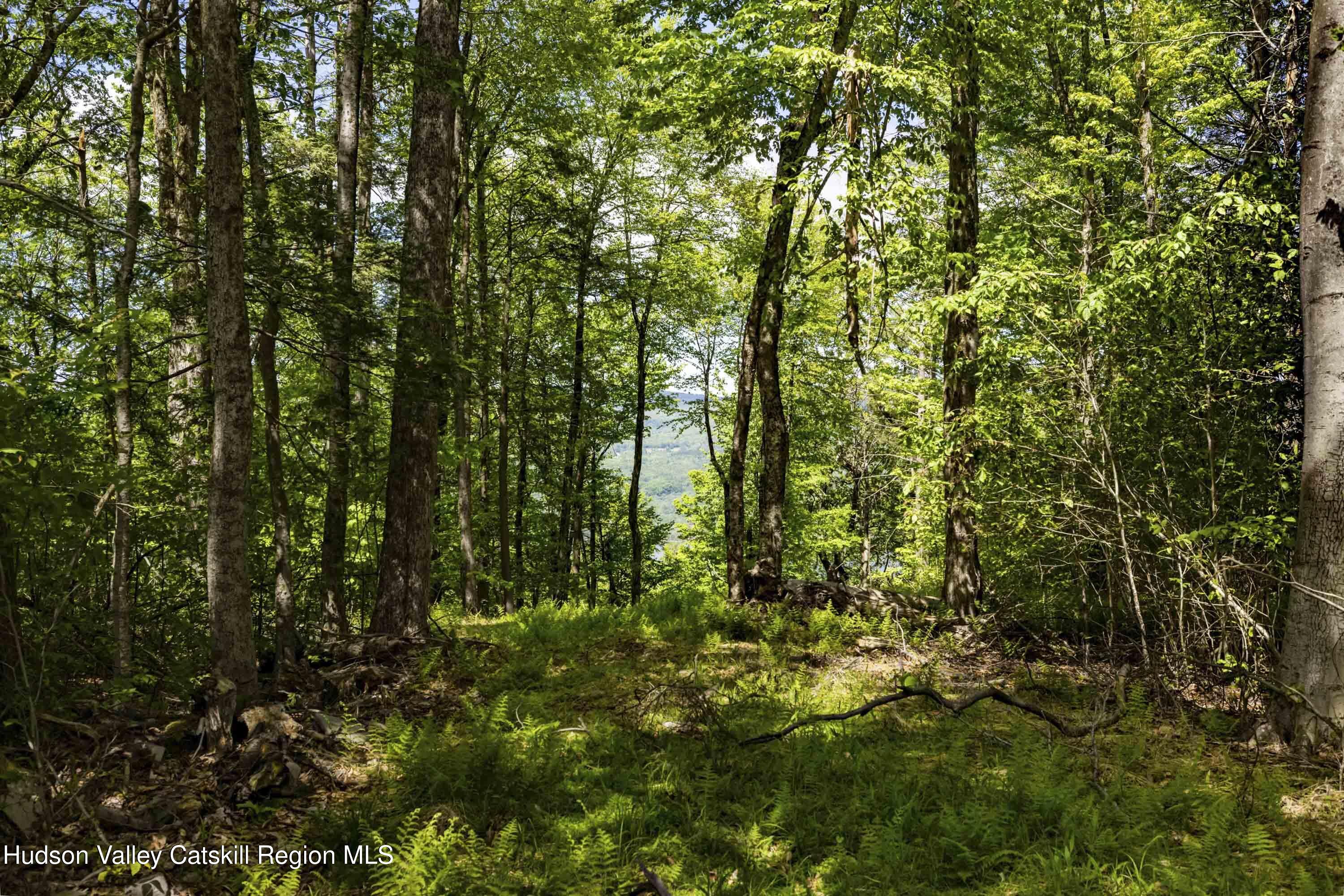 2 Red Rock Road, Wawarsing, New Mexico image 4