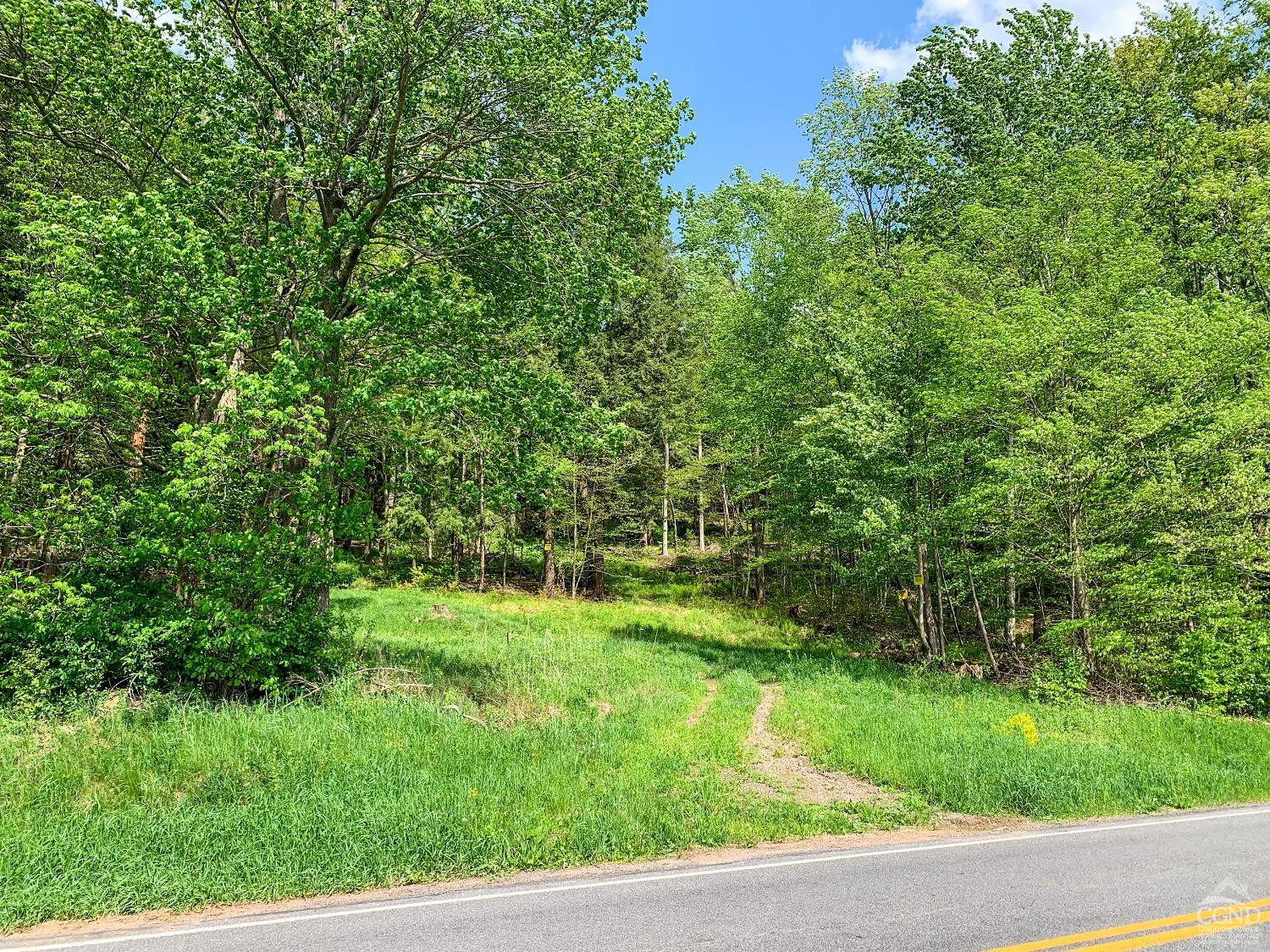 County Highway 44 Pass, Sidney, New York image 13
