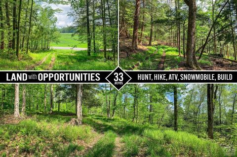 Vacant Land For Sale - County Highway 44<br/> Sidney, NY 13849