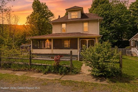 Photo of 14 Jay Street, Phoenicia, NY 12464 (MLS # 20262351)
