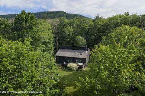 Photo of 118 Peck Road, Jewett, NY 12444 (MLS # 20263787)