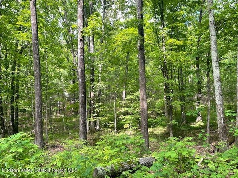 Vacant Land For Sale - L-6 N Joel M Austin Road<br/> Cairo, NY 12413