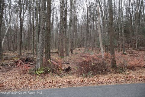 Homes For Sale - 11 Carey Road<br/> West Park, NY 12493