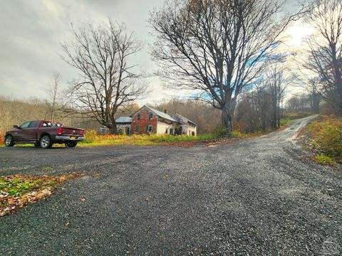 Photo of 172 Mace Hill Road, Middleburgh, NY 12122 (MLS # 20261905)