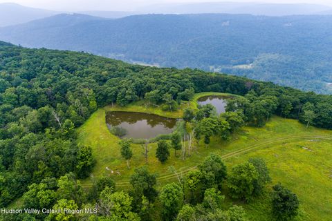 Photo of 890 Bald Mountain Road, Austerlitz, NY 12017 (MLS # 20261528)