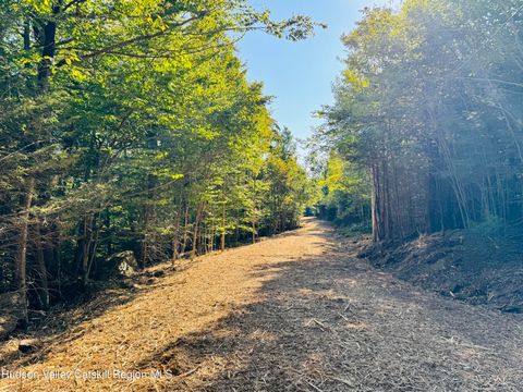 Vacant Land For Sale - 13 Corfu Road<br/> Elka Park, NY 12427