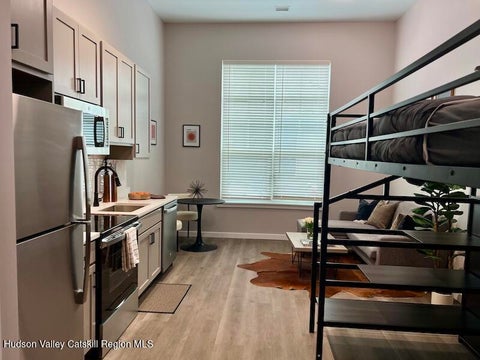 Apartment For Rent - 110 Cornell Street #1131<br/> Kingston, NY 12401