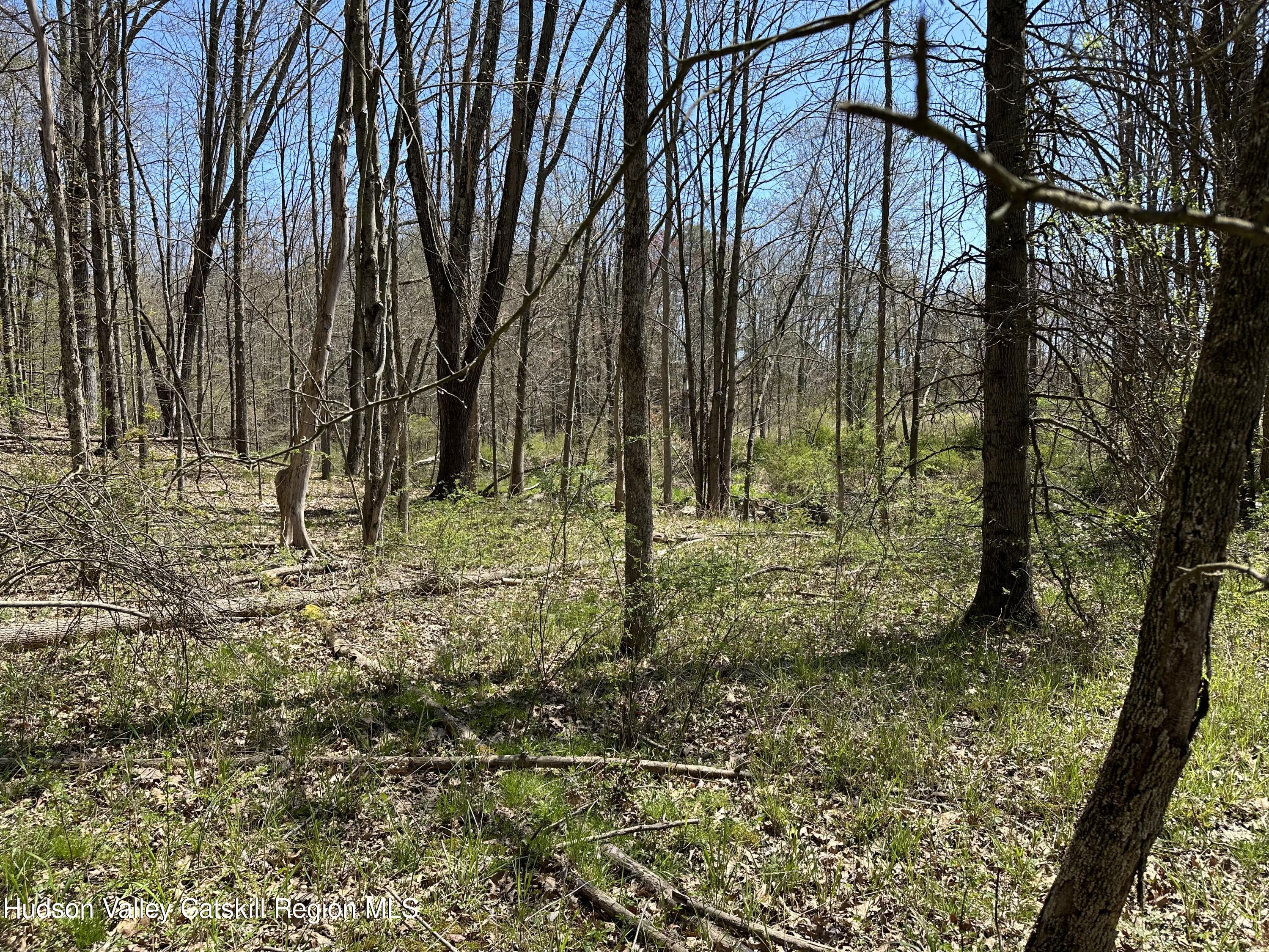 414 Hoagerburgh Road, Pine Bush, New York image 3