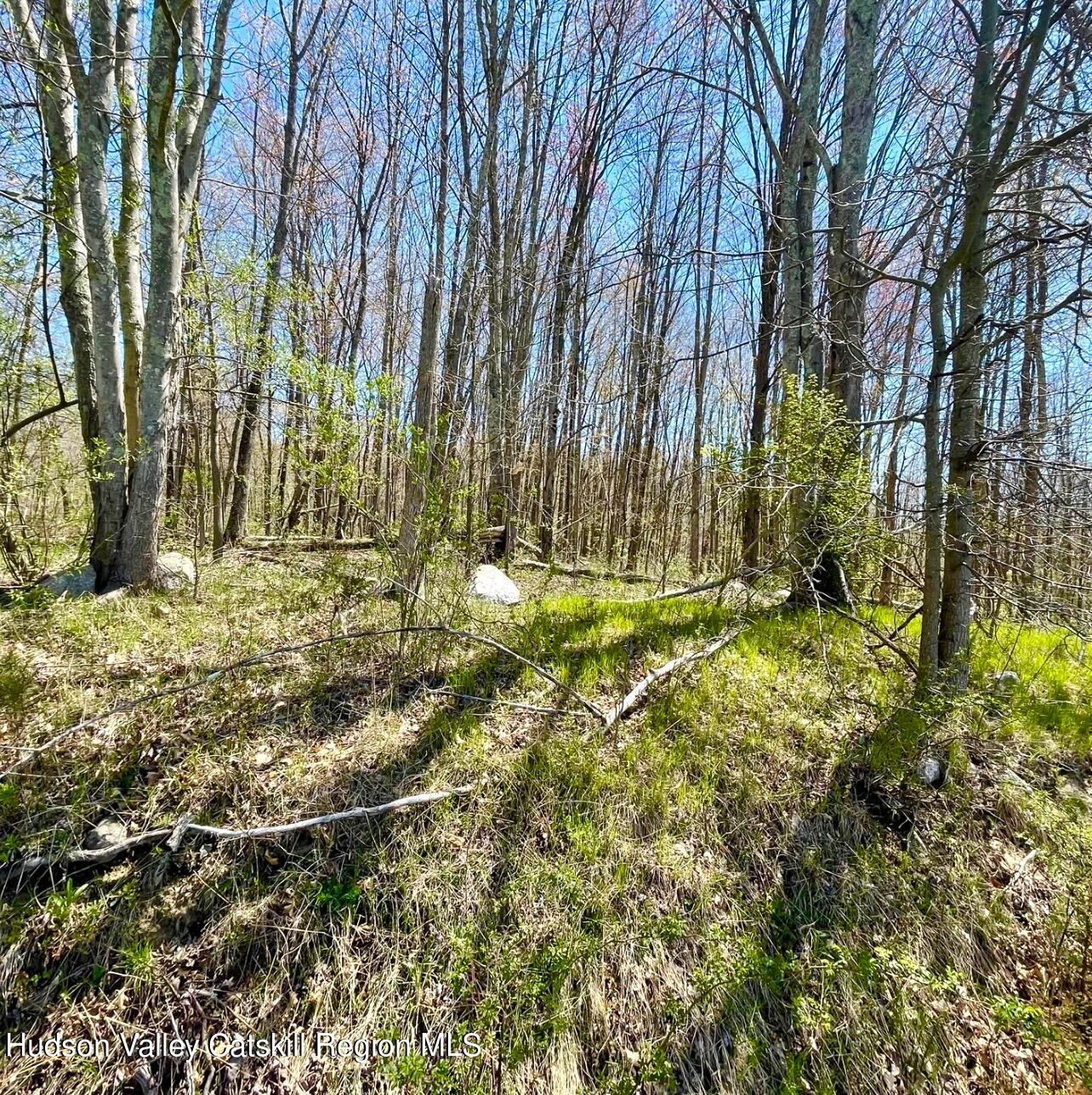 414 Hoagerburgh Road, Pine Bush, New York image 13