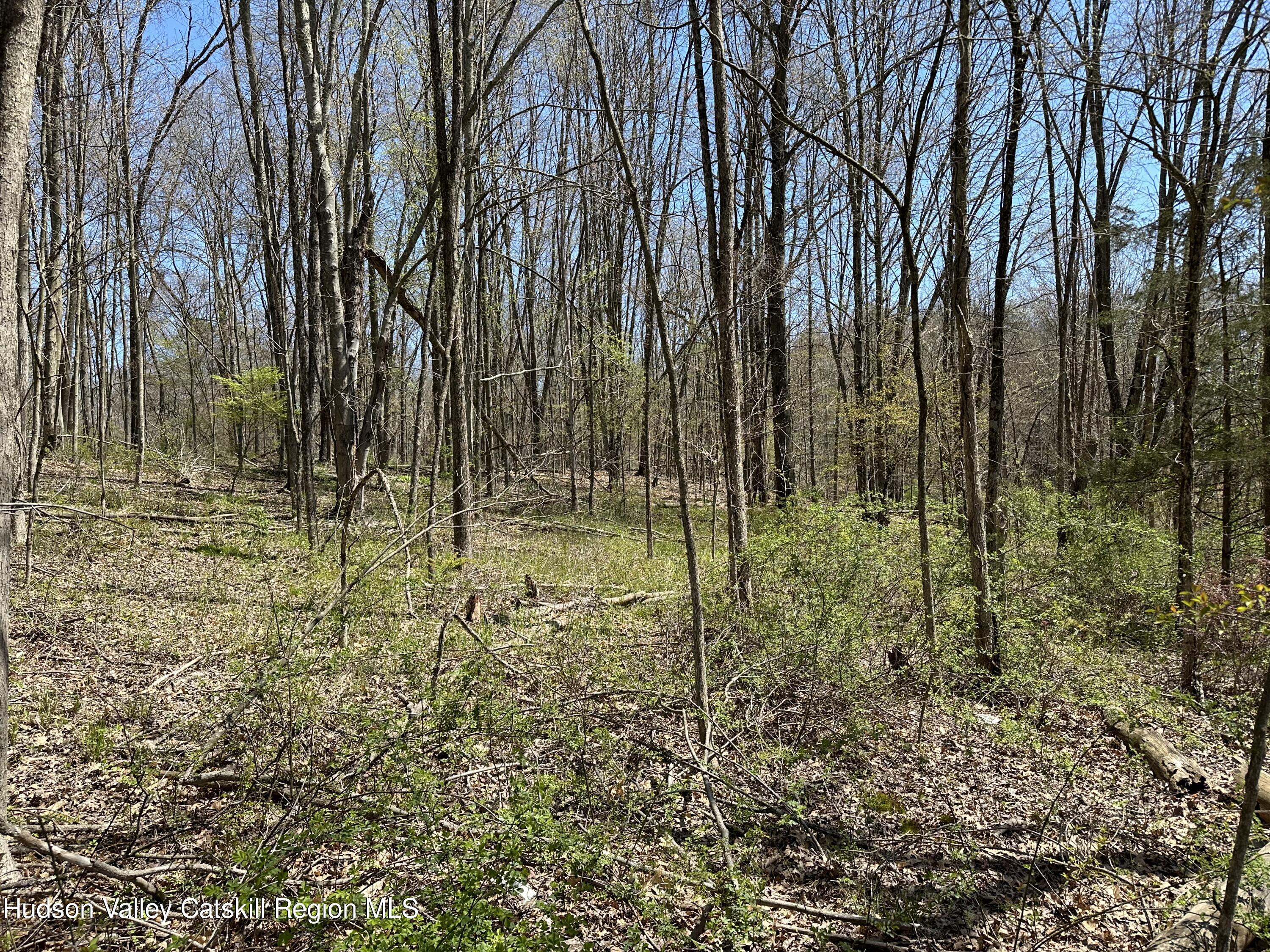 414 Hoagerburgh Road, Pine Bush, New York image 2