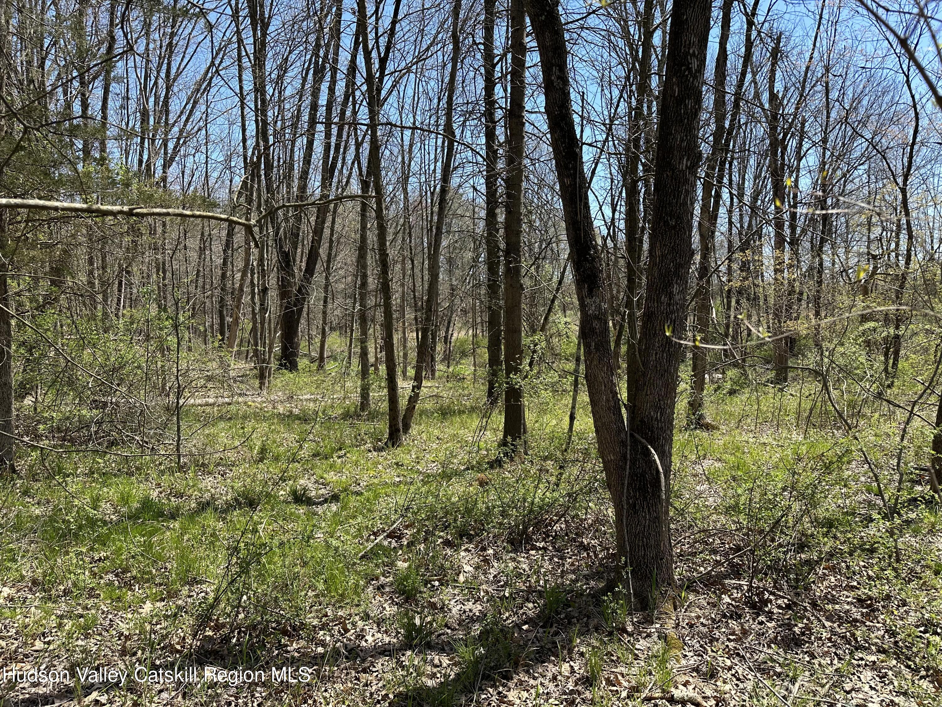 414 Hoagerburgh Road, Pine Bush, New York image 5