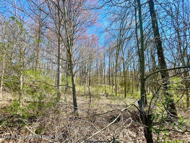 414 Hoagerburgh Road, Pine Bush, New York image 9