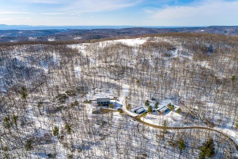 Photo of 890 Bald Mountain Road, Austerlitz, NY 12017 (MLS # 20260499)