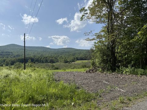 Vacant Land For Sale - Mitchell Hollow Road<br/> Windham, NY 12496