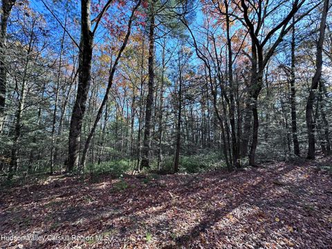 Vacant Land For Sale - LOT 2 Upper Cherrytown Road<br/> Kerhonkson, NY 12446