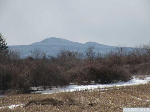 Vacant Land For Sale - 132 Lockwood Road<br/> Hudson, NY 12534