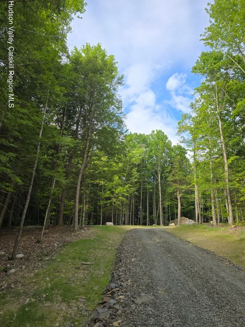 Vacant Land For Sale - TBD Avery Hand Lane<br/> New Lebanon, NY 12125