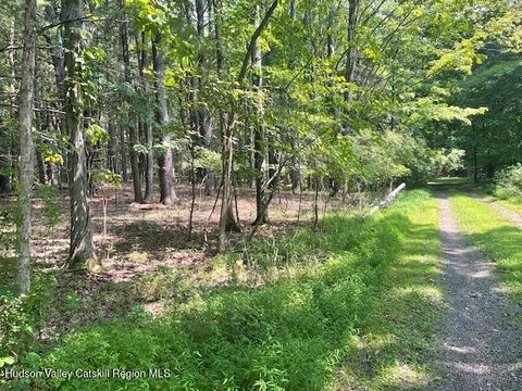 Vacant Land For Sale - L-5 Gayhead-earlton Road<br/> Greenville, NY 12083