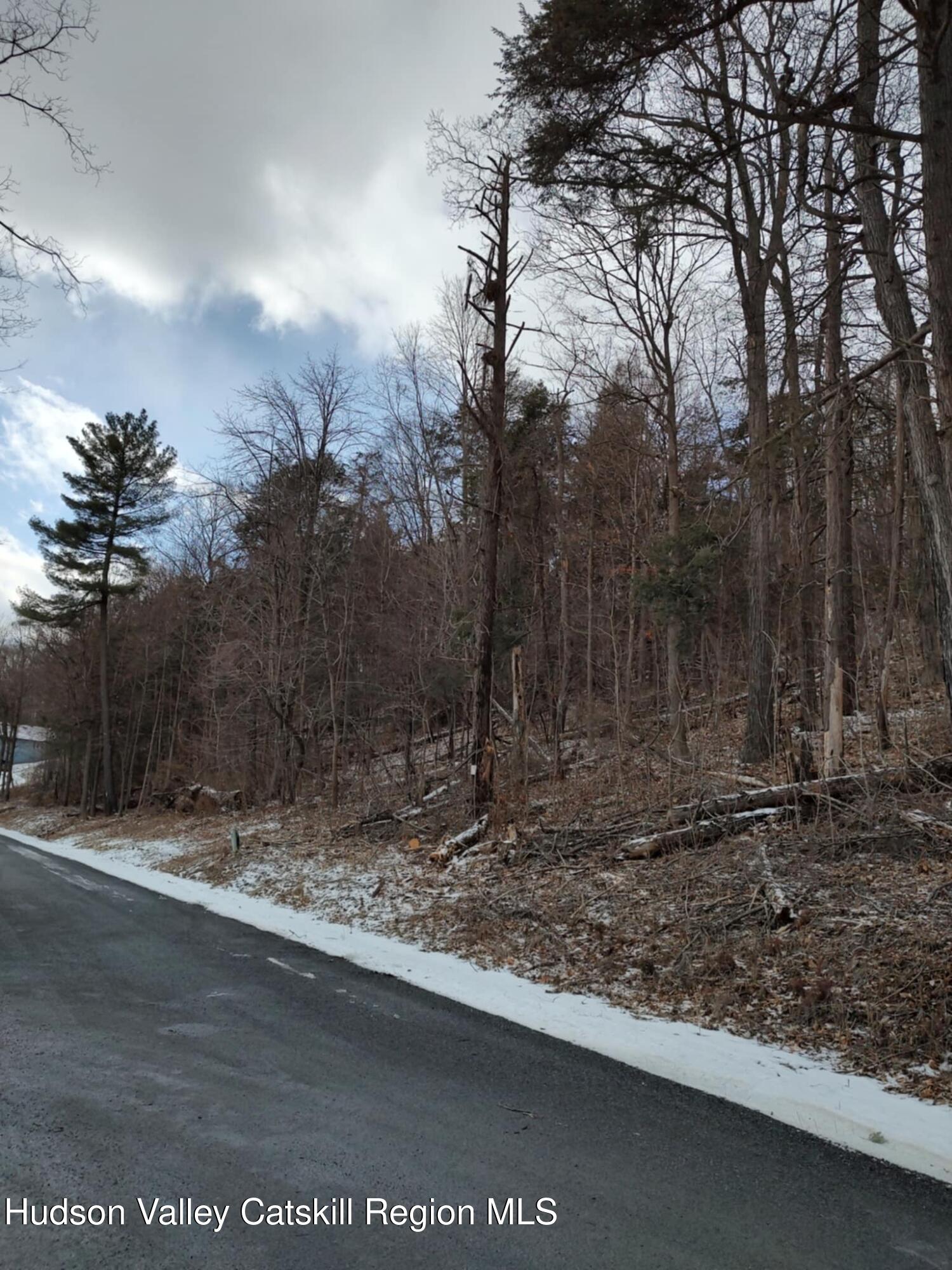 Tbd W Barrus Drive #116, Coxsackie, Ohio image 2