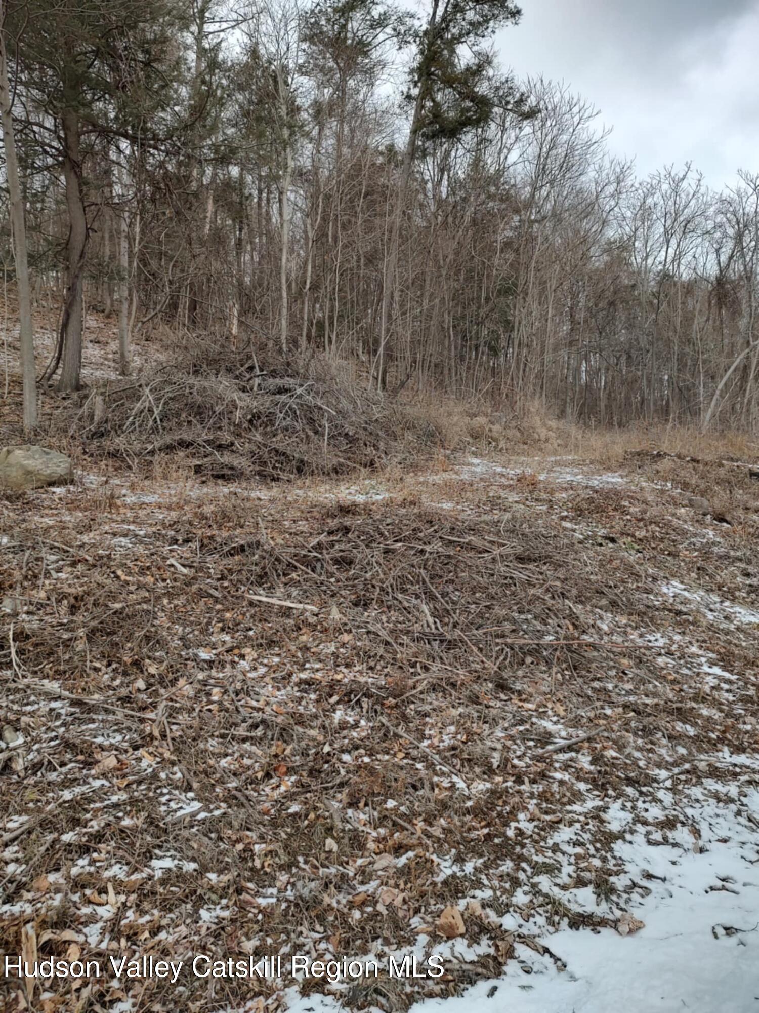 Tbd W Barrus Drive #116, Coxsackie, Ohio image 4