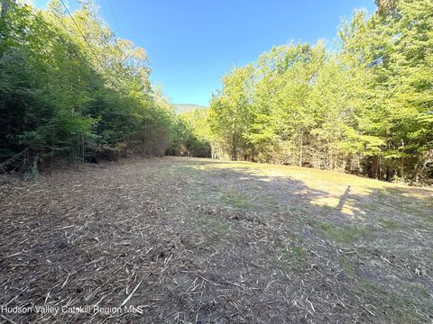 Vacant Land For Sale - 15 Corfu Road<br/> Elka Park, NY 12427