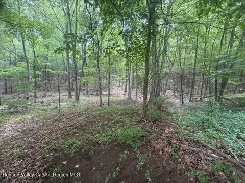 Vacant Land For Sale - 41 Eddy Street<br/> Saugerties, NY 12477