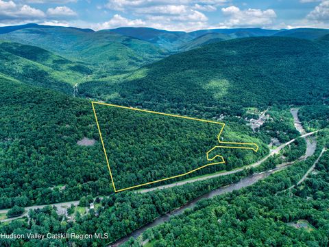 Homes For Sale - TBD Ny-28<br/> Phoenicia, NY 12464