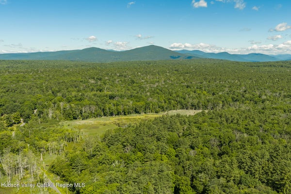 TBD BUCK ROAD, STONE RIDGE, NY 12484 - Image 3bb9fadbf470b3dfdea17cf6694cfbba/853040712