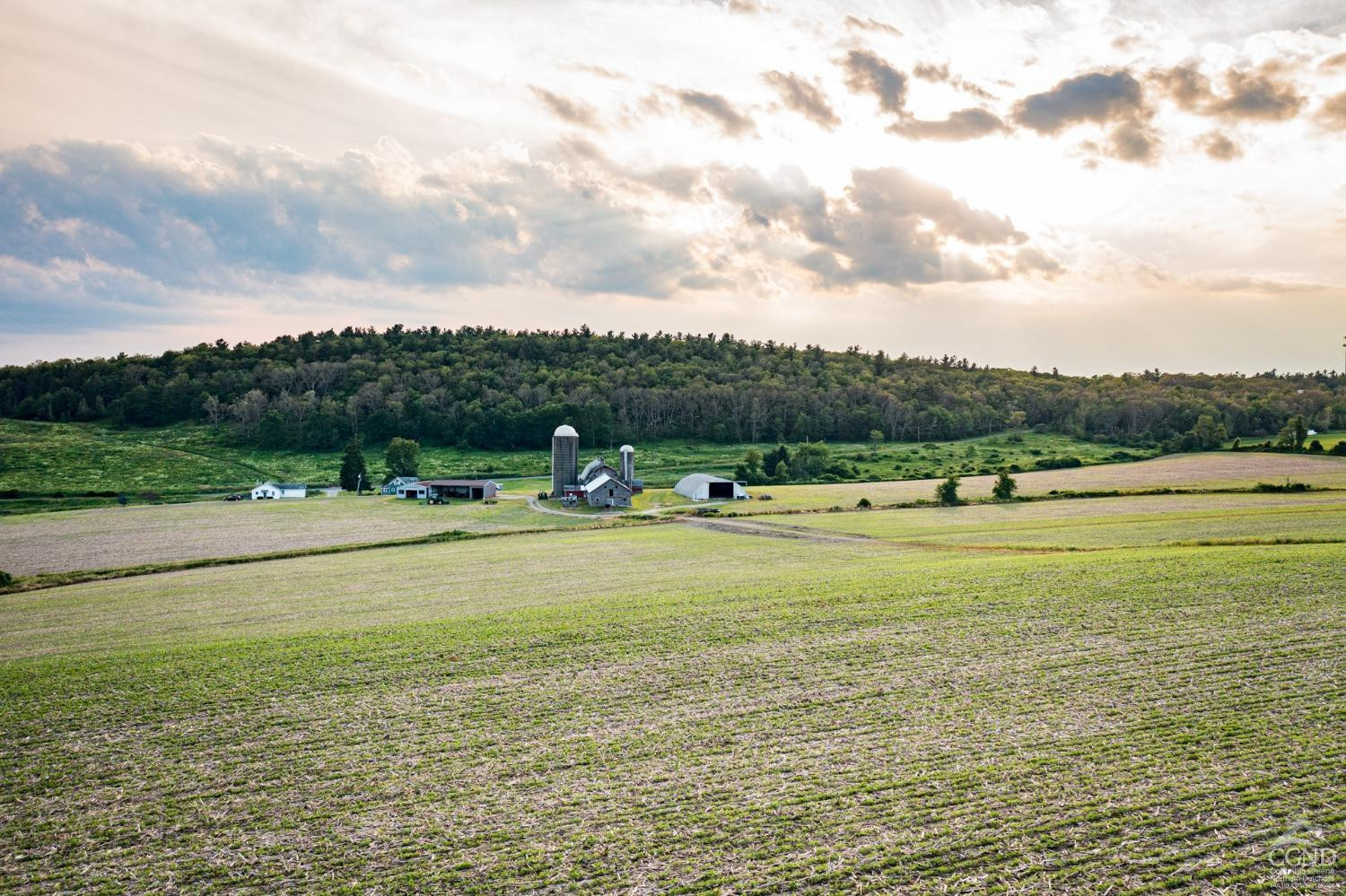 5 - 15 Homestead Farm Lane, Millerton, New York image 4
