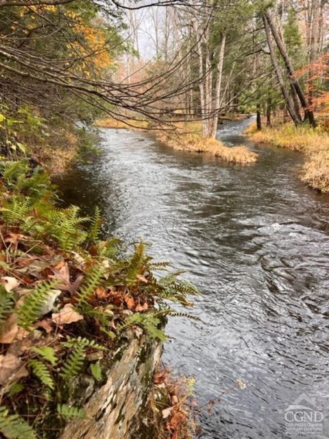 Vacant Land For Sale - 91 Laurie Lane<br/> Greene County, Earlton, NY 12058