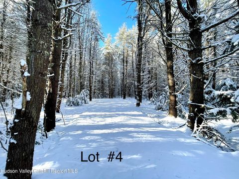 Homes For Sale - 497 Campbell Road<br/> Ashland, NY 12407