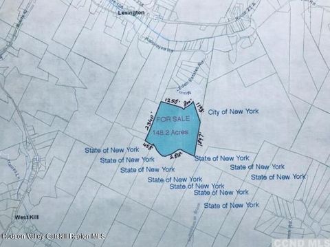 Vacant Land For Sale - LAND ON Mount Eden Estates Road<br/> Lexington, NY 12452