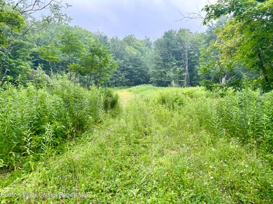 174 HIGH PEAK RD, HENSONVILLE, NY 12439 - Image 3d981f526cfd0cb5002a34515aa2fb0a/574733308