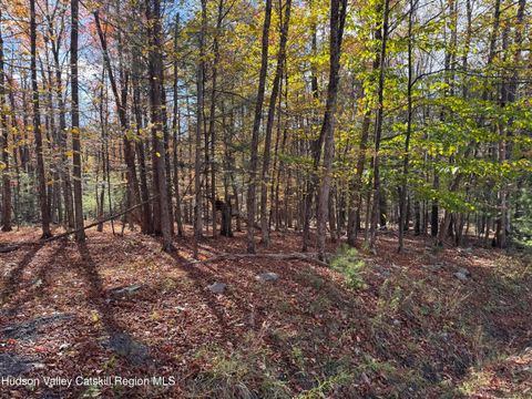 Vacant Land For Sale - TBD Cross Patch Road<br/> Ulster County, Willow, NY 12495