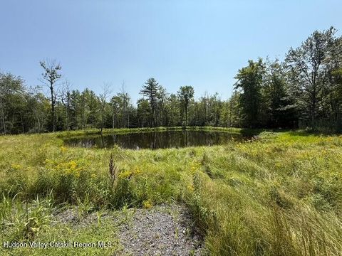 Vacant Land For Sale - 16 Kerness Road<br/> Wawarsing, NY 12489