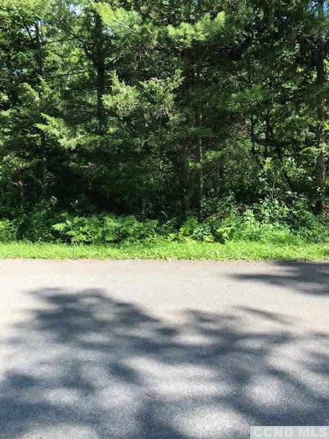 Vacant Land For Sale - 31 Rip Van Winkle Drive<br/> Athens, NY 12015