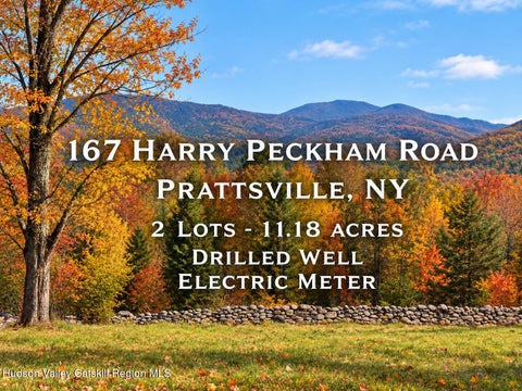 Vacant Land For Sale - 167 Harry Peckham Road<br/> Prattsville, NY 12468