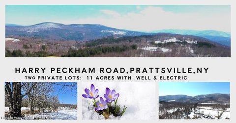 Vacant Land For Sale - 167 Harry Peckham Road<br/> Prattsville, NY 12468