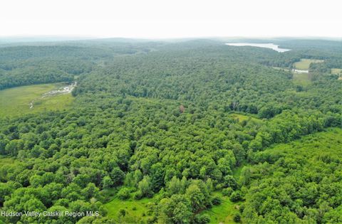 Homes For Sale - 13 Mitchel Road<br/> White Lake, NY 12786