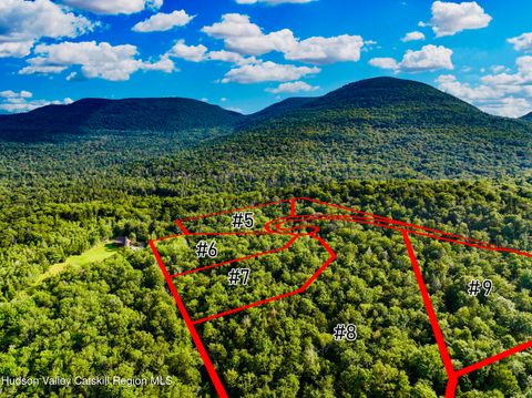 Homes For Sale - 14 Corfu Road<br/> Elka Park, NY 12427