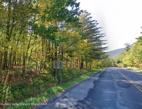 Vacant Land For Sale - TBD Route 28<br/> Shandaken, NY 12480