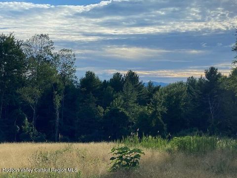 Vacant Land For Sale - Bate Road<br/> Craryville, NY 12521
