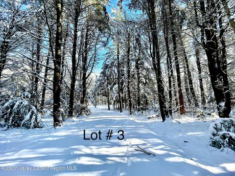 Vacant Land For Sale - 511 Campbell Road<br/> Ashland, NY 12407