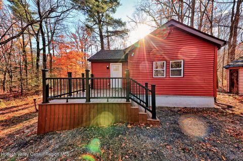 Photo of 40 Cemetery Road, Palenville, NY 12463 (MLS # 20255879)