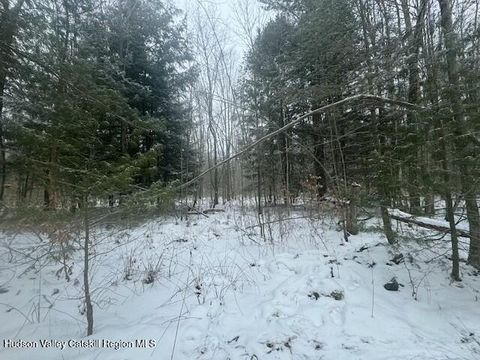 Vacant Land For Sale - TBD County Route 84<br/> Hastings, NY 13706