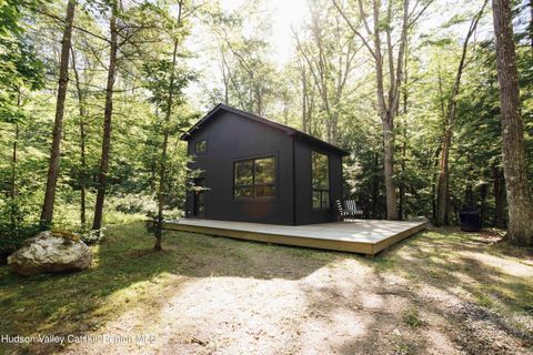 Photo of 208 E East Hill Road, Austerlitz, NY 12017 (MLS # 20255227)