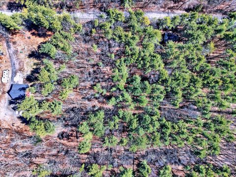 Vacant Land For Sale - 42 Pine Creek Drive<br/> Catskill, NY 12414