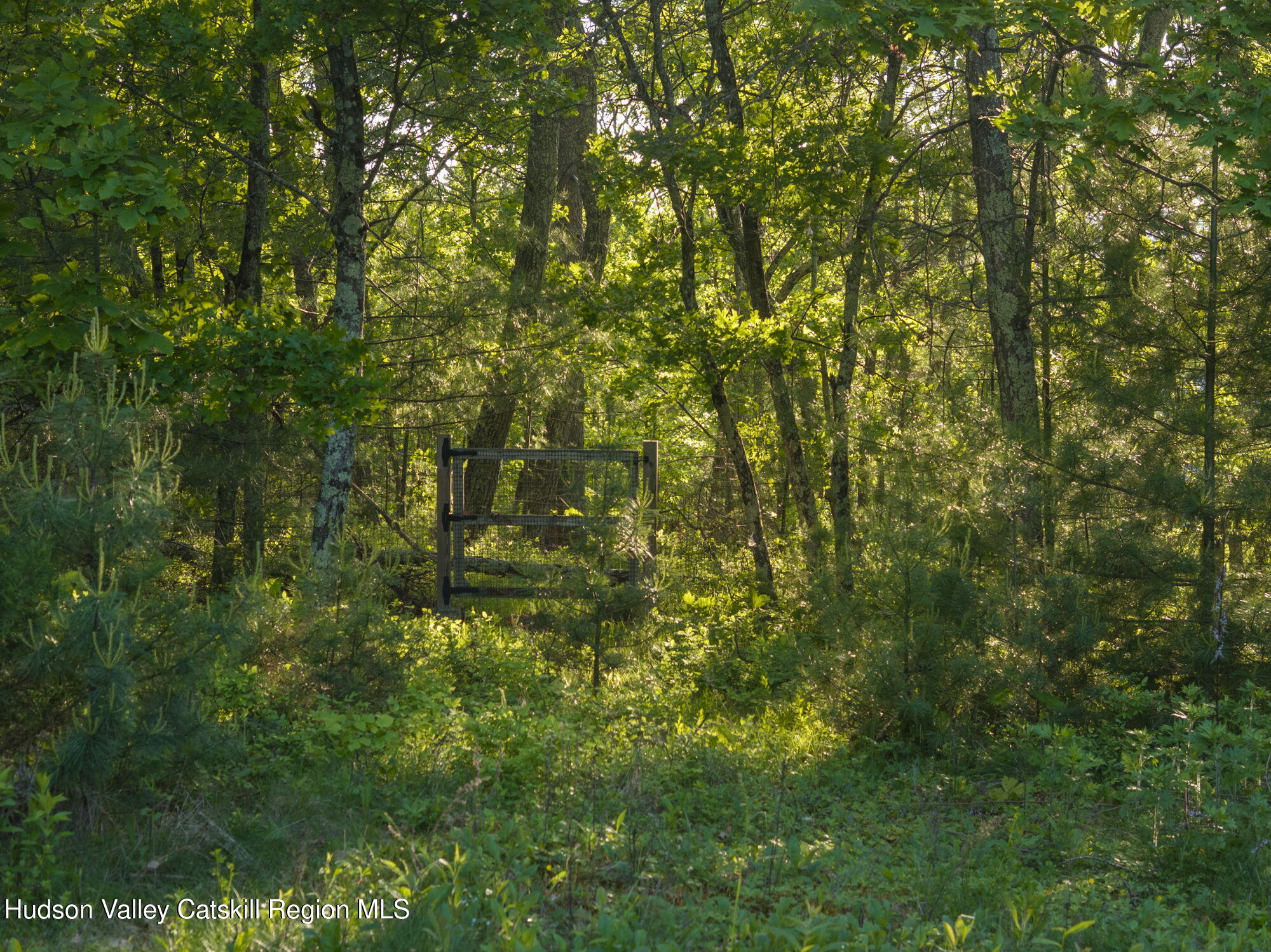 1401 Ny-28a, West Hurley, Texas image 35