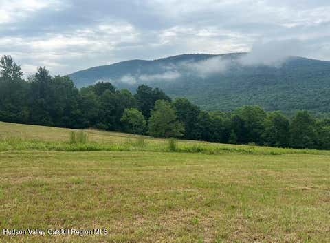 Vacant Land For Sale - 11400 New York 23<br/> Ashland, NY 12407